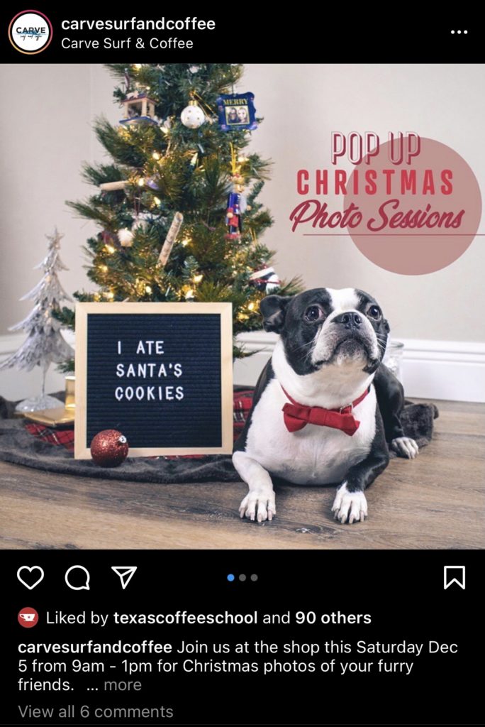 Instagram post with dog next to Christmas tree and sign: "I ate Santa's cookies."