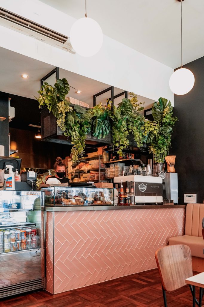 Coffee shop counter with coffee equipment and hanging plants